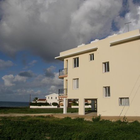 Athena And The Owl Beachside Apt Paphos Exteriör bild