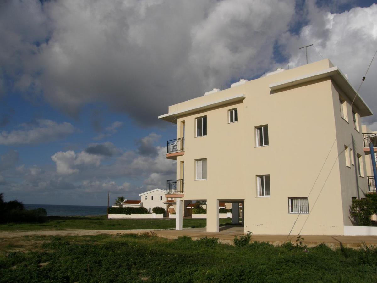 Athena And The Owl Beachside Apt Paphos Exteriör bild
